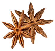 star flower